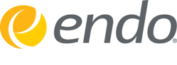 endo logo 1 - Investment Banking